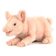 Penelope Lying Pig Plush Toy
