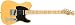 Win a Fender Telecaster Guitar Signed by Chris Cornell