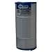 Filbur FC-2790 Antimicrobial Replacement Filter Cartridge for Sundance Step 125 Pool and Spa Filter