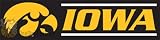 Iowa Hawkeyes New 8 Ft Tailgate Banner Flag