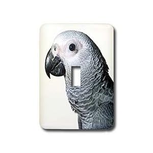 Birds - African Grey Parrot - Light Switch Covers - single toggle switch by 