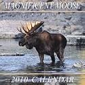 Magnificent Moose 2010 Wall Calendar