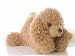 Plush Chika Cocker Spaniel 12