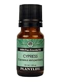 Cypress 100 % Pure Essential Oil - 10 ml