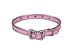 Icy Metallic Collar Dog Collar with Rhinestones,  3/8" Wide x 10" Long