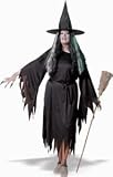 Wicked Witch Plus Size
