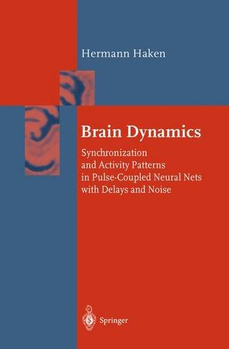brain dynamics
