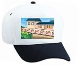 White Cap with Matanzas, Caribbean, government, trees, Governor Palace, structure, mansion, Cuba, building