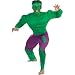 Hulk Adult Muscle Costume