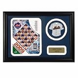 2009 New York Mets Photograph with Team Jersey Patch in a 12" x 18" Deluxe Frame