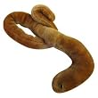 Giant Microbes - Ebola (Ebola Virus) Educational Plush Toy