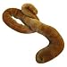 Giant Microbes Ebola (Ebola Virus)