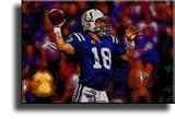 Completely Handpainted American Football Sport Painting, Custom Order FL2836, Oil on Canvas, with Option to Paint Jerry, Brett & Co. from Any Other Favorite Photograph or Picture, Unframed, Size 16" x 22" inch