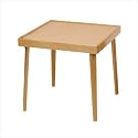 Childrens Folding Table