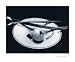Art Poster Print - Rhubarb And Apple - Artist: S Casper- Zielonka - Poster Size: 24 X 20 inches