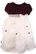 Rare Editions Infant Toddler Girls Burgundy Velvet and White Boutique Holiday Christmas Party Dress