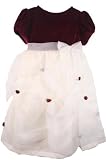 Rare Editions Infant Toddler Girls Burgundy Velvet and White Boutique Holiday Christmas Party Dress