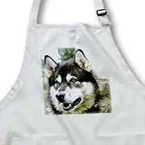 Dogs Alaska Malamute - Alaska Malamute - Aprons