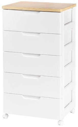 Where Can I Buy Iris Premier Collection 5 Drawer Storage Chest