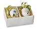 Royal Copenhagen Collectibles Easter Egg 2 Pack Hepatica/pansy
