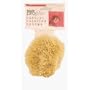 Armaly Brands #15217 SM Coar Paint Sponge