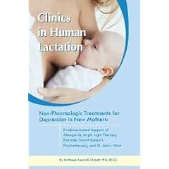 Non-pharmacologic Treatments for Depression in New Mothers (Clinics in Human Lactation)