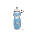 Polar Insulated Water Bottle (20-Ounce, Blue)