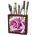 Patricia Sanders Flowers - Sweet Summer Beauty Rose Flowers Photography - Tile Pen Holders-5 inch tile pen holder