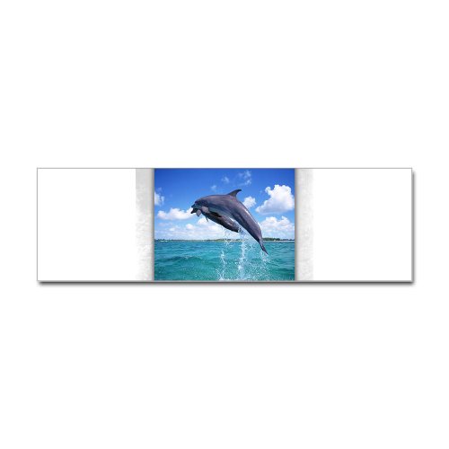 Bumper Sticker Dolphins Singing