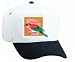 White Cap with aethopyga, siparaja, bird