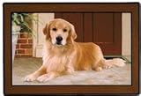 Pet Mat - 18.0 x 27.0 - Golden Retriever Porch
