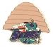 Charlotte Sting WNBA City Pin