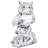 Review Swarovski  / Swarovski Friend Owl