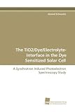The TiO2/Dye/Electrolyte-Interface in the Dye Sensitized Solar Cell: A Synchrotron Induced Photoelectron Spectroscopy Study