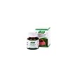 Echinaforce By A. Vogel - 90 Tablets