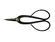 Corona Clipper Steel Floral Shears With Comfort Grip Handles FS 4200