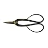 Corona Clipper Steel Floral Shears With Comfort Grip Handles FS 4200