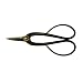 Corona Clipper Steel Floral Shears With Comfort Grip Handles FS 4200
