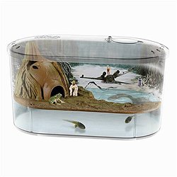 Star Wars Science - Dagobah Frog Habitat