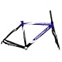 Pinarello Dogma FP Frameset