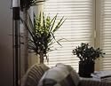 WINDOW TREATMENTS Overstock 2 inch Faux Wood Blinds up to 26 x 72 - Window Blinds - Faux Wood Blinds