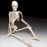 Mr. Thrifty Halloween Skeleton (WCP1D) 4th Quality (stand not included)