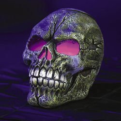 DELUXE HAUNTED HOUSE GRAVEYARD HALLOWEEN CREEPY SKELETON SKULL FOGGER