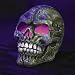DELUXE HAUNTED HOUSE GRAVEYARD HALLOWEEN CREEPY SKELETON SKULL FOGGER