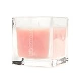 L &acute; OCCITANE en Provence Cherry Blossom Scented Candle 3.5 oz ( 100 g ) - B0019NL38K