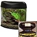 Eclipse System Five Corner Aquarium Kit - 5 Gallon