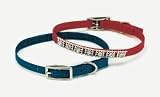 Coastal Pet Jeweled Nylon Dog Collar (Neon Pink, 12 inch L x 3/8 inch W)