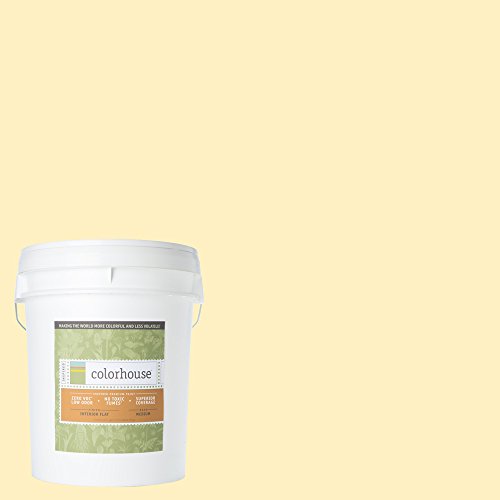 Inspired Flat Interior Paint, Grain .01, 5-Gallon