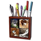 Sandy Mertens Colorado - Canyons of the Rocky Region Collage - Tile Pen Holders-5 inch tile pen holder