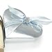 1 Sample Argento Lari - Lustrous Silver Favor Box - Chest (Set of 1) - by Weddingstar